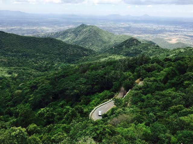 Green hills of Sirumalai